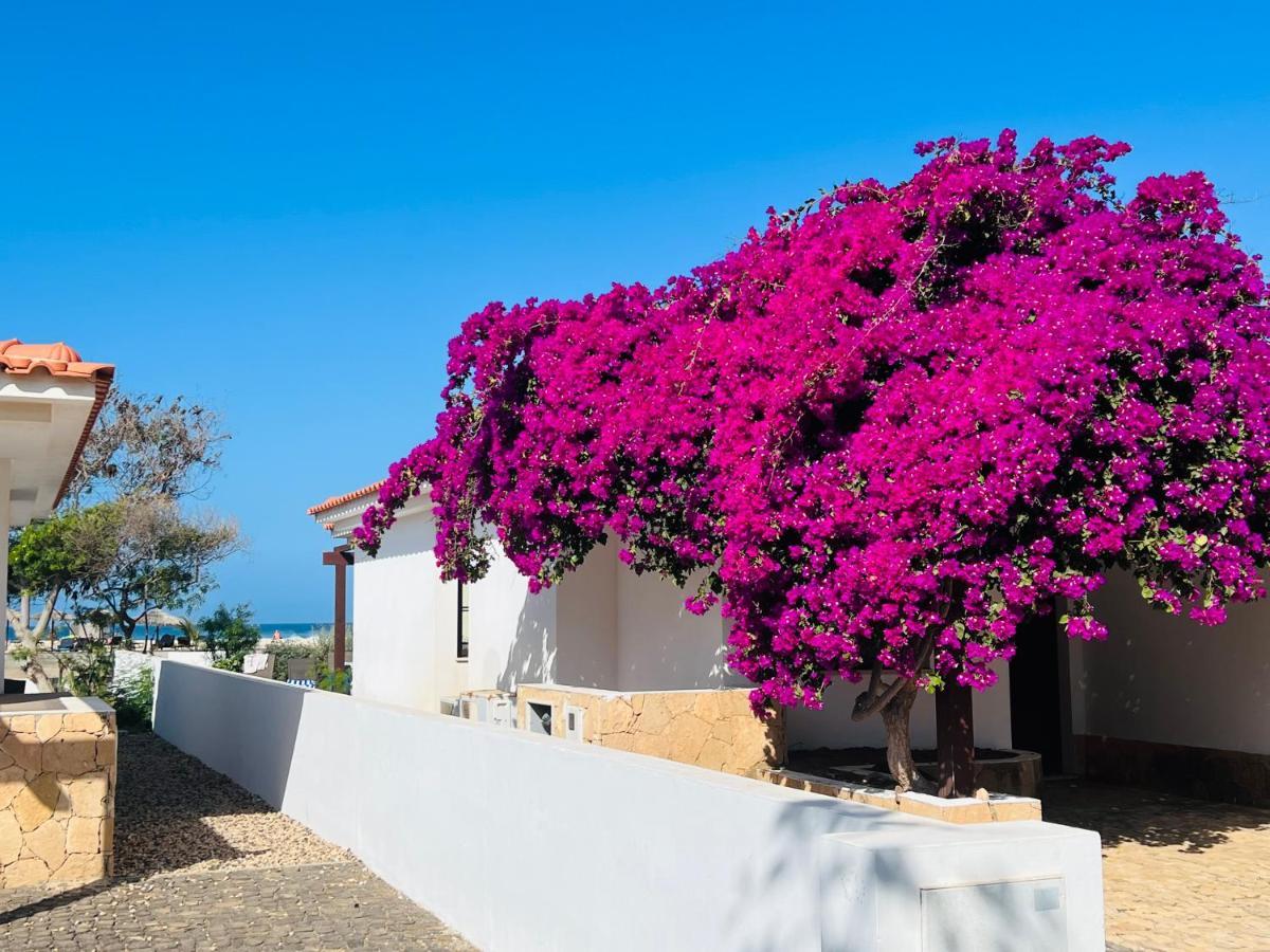 Luxusvilla in St.Maria, Sal Kap Verde-20m vom Meer Santa Maria Buitenkant foto