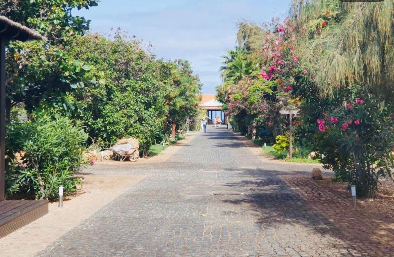 Luxusvilla in St.Maria, Sal Kap Verde-20m vom Meer Santa Maria Buitenkant foto
