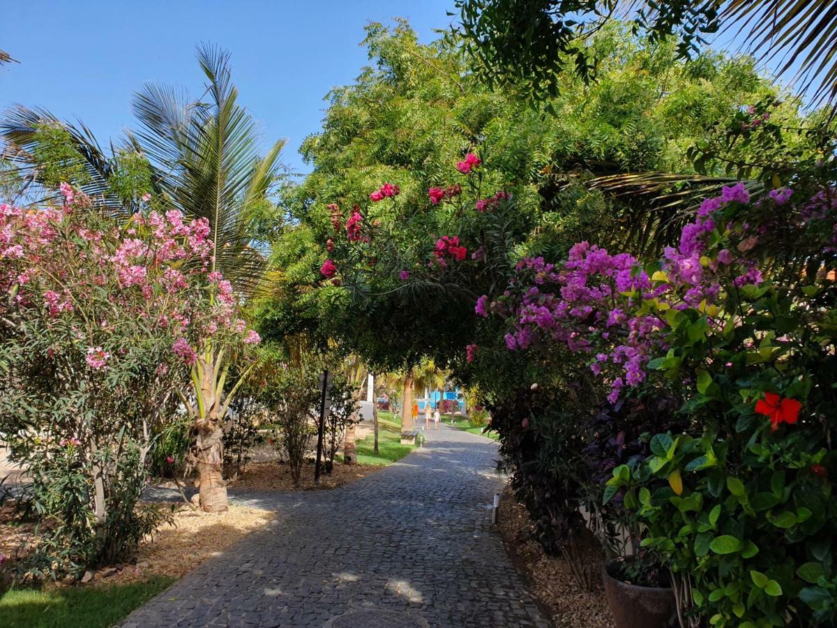 Luxusvilla in St.Maria, Sal Kap Verde-20m vom Meer Santa Maria Buitenkant foto
