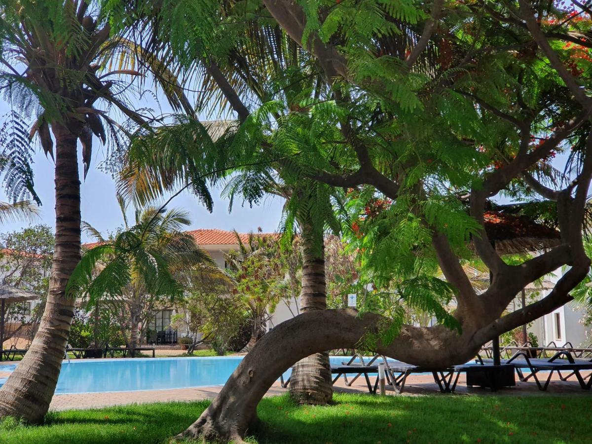 Luxusvilla in St.Maria, Sal Kap Verde-20m vom Meer Santa Maria Buitenkant foto